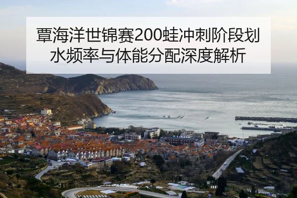 tan-hai-yang-shi-jin-sai-wa-chong-ci-jie-duan-hua-shui-pin-lv-yu-ti-neng-fen-pei-shen-du-jie-xi-2-342.jpg