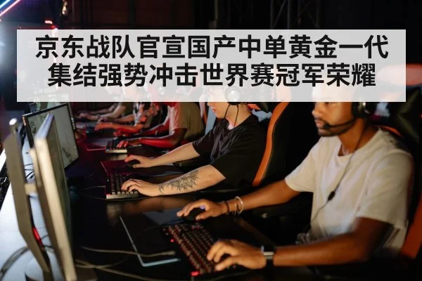 京东战队官宣国产中单黄金一代集结强势冲击世界赛冠军荣耀